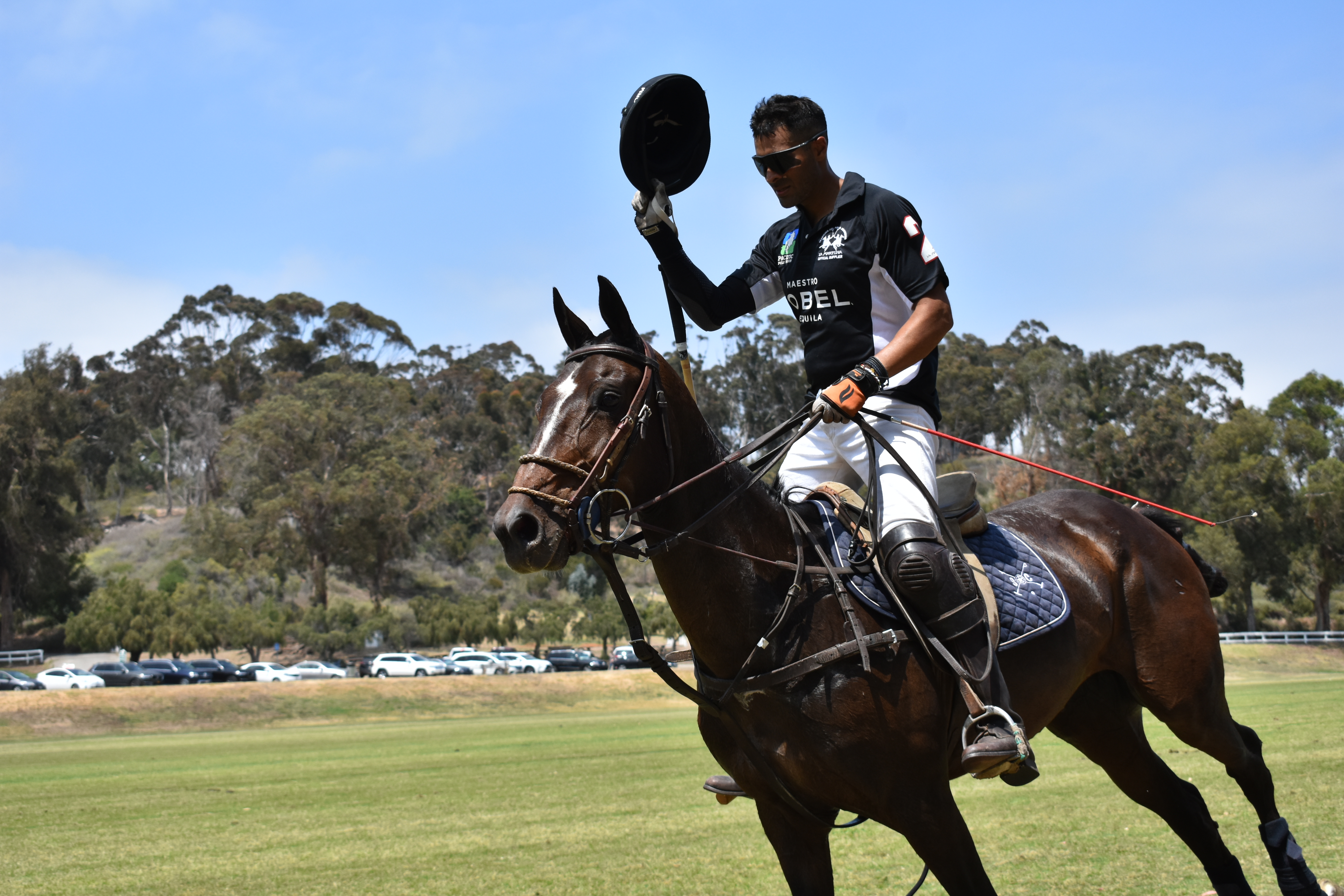 Pacific Polo Tour Hollywood Cup IV