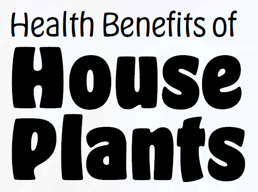 Health Benefits of Houseplants