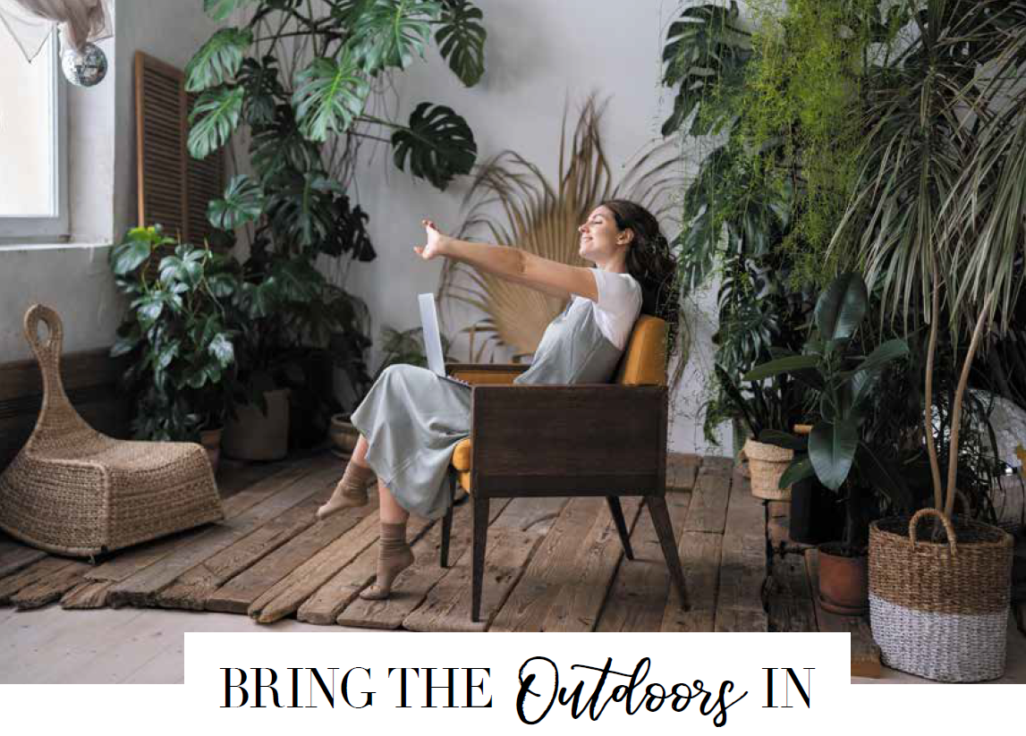 Bring the Outdoors In