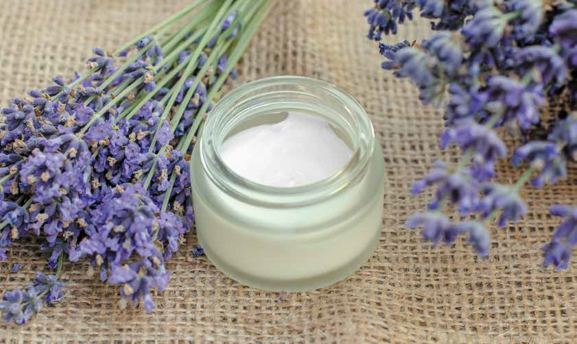 Unveiling the Essence of Lavender