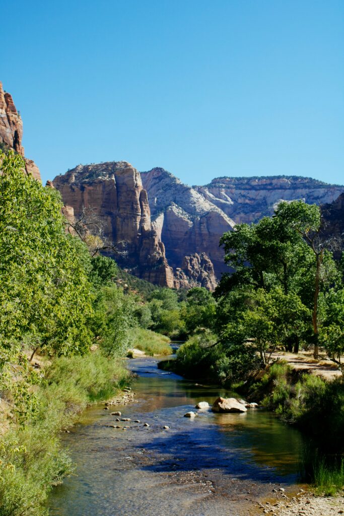 2024 Discover the Magic of Zion Nation Park 5