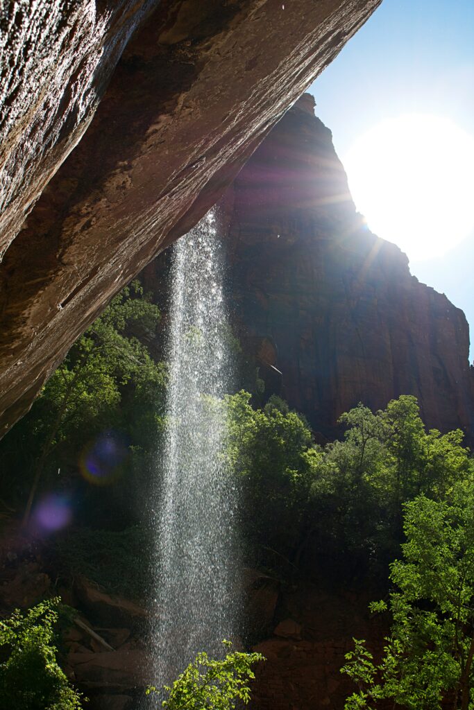 2024 Discover the Magic of Zion Nation Park 7