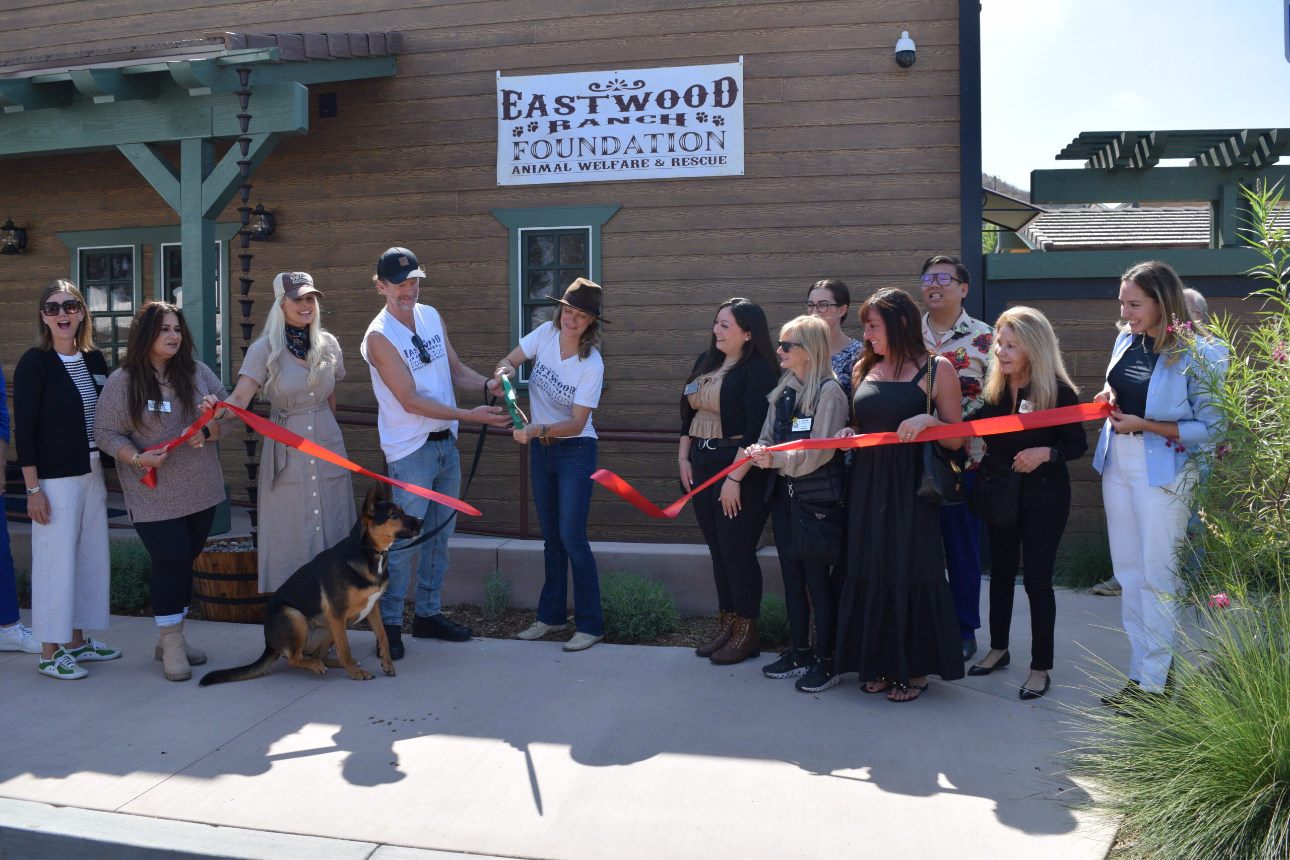 Eastwood Ranch Rescue Alison Eastwood Opens Haven for Rescued Pets